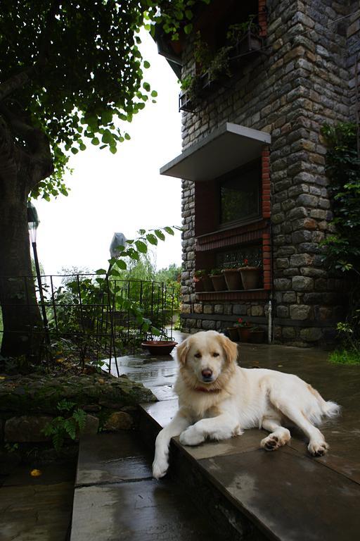 Saffronstays Himalaica, Nainital Bhowali 외부 사진