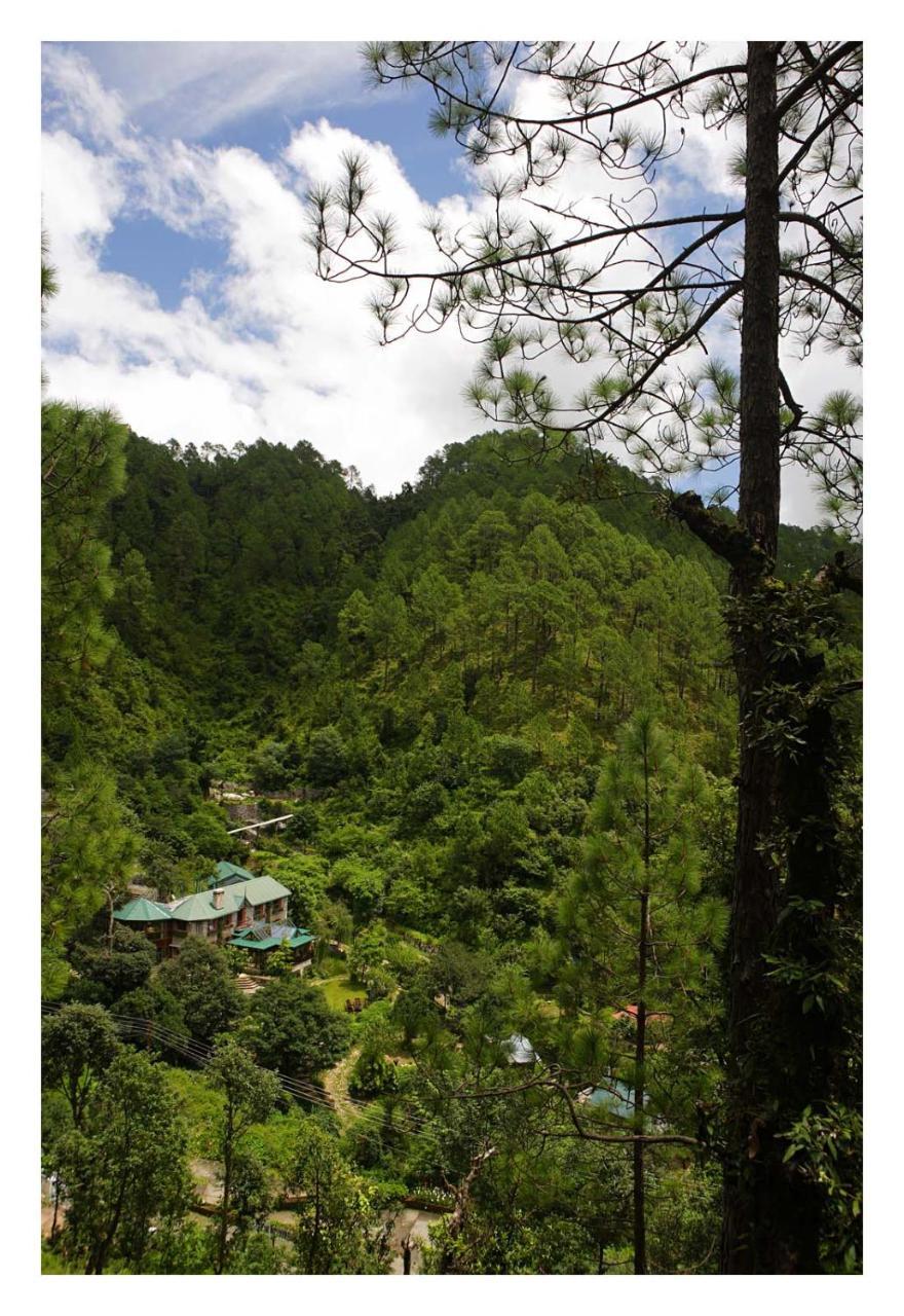 Saffronstays Himalaica, Nainital Bhowali 외부 사진